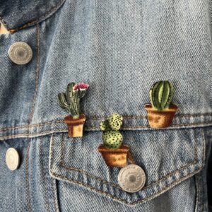 IMG pin's s'tyle upcycling cactus